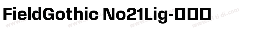 FieldGothic No21Lig字体转换